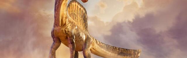 Sahara kõrbest avastati uus dinosauruseliik