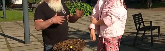 Metsas aitavad näljaseid tuttavad juured ja turbasambla-pott