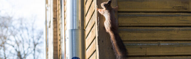 Kolmapäeval on ilm selge ja sajuta
