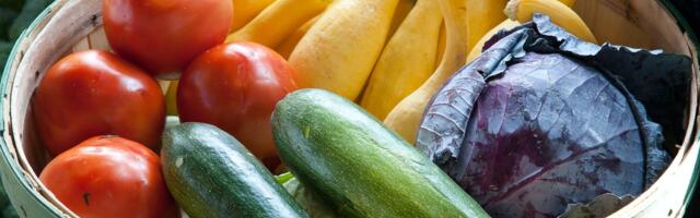 Mahetootmisega alustajate jaoks on taotluste esitamine avatud