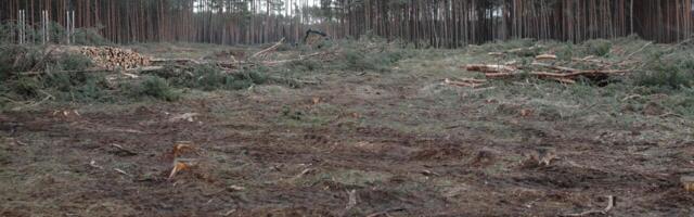 Український переклад: Естонська оборонна політика сильно акцентується на стрімкому реагуванні.