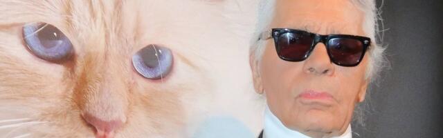 1,5 miljonit dollarit päranduseks saanud Karl Lagerfeldi kass Choupette on laostunud