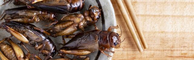 Європейці точно не хочуть їсти.