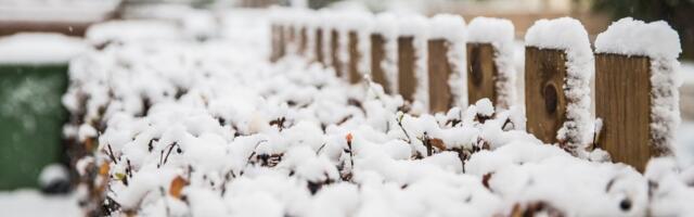 ILMAPROGNOOS | Ilm muutub järjest jahedamaks ning oodata on vihma ja lörtsi
