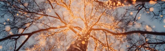 Päevahoroskoop : pühapäev, 14. detsember