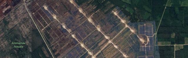 Professor: Eestis võib tuulikute tegelik mõju olla tunduvalt suurem