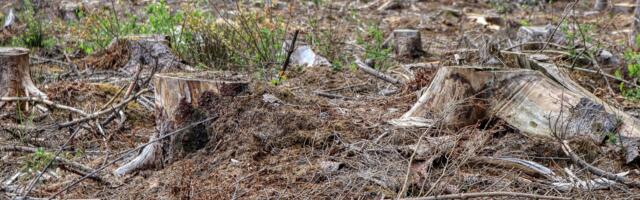 Riigil on riigivaenulik plaan