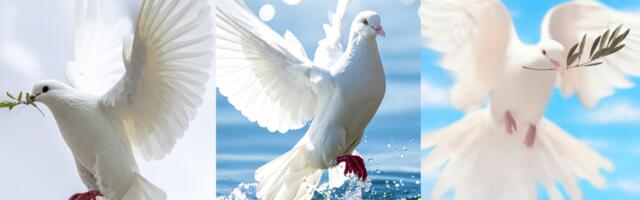 Vali üks kolmest valgest tuvist ja avasta, milline sõnum aitab sul sisemise rahu leida