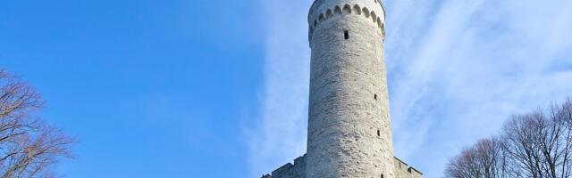 Varro Vooglaid: Естонські державні установи мають прикрашатися лише естонським прапором.