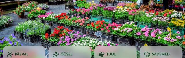 ILMATEADE | Päev tuleb kevadiselt soe, kohati on vihmasabinaid ning äikeseoht püsib