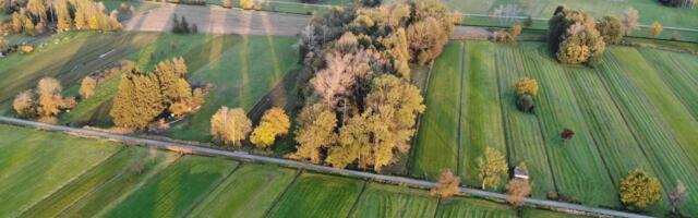 Teave muutunud maamaksukohustuse kohta