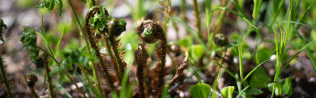 Pühapäeval jääb õhutemperatuur 10 kraadi juurde