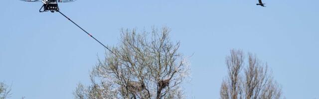 Eesti lootis olla maailma esimene droonide abil kormoranide kiusaja, aga sakslased jõudsid ette