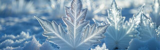 Päevahoroskoop : teisipäev, 10. veebruar