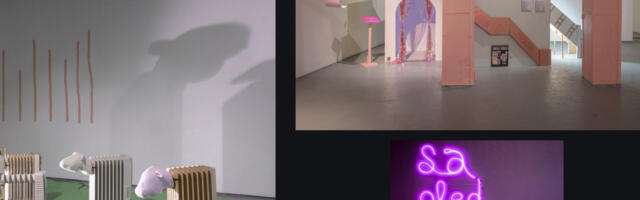 Kolm arvustust ENKKLi näitusest EKKMis