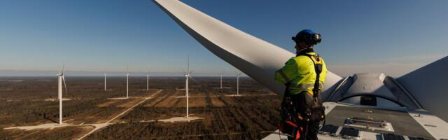 Panused suurenevad. Omavalitsustele pakutakse tuulikute lubamise eest vähemalt miljon eurot