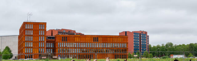 Linnalooduse hooaja avab Maarjavälja perepäev