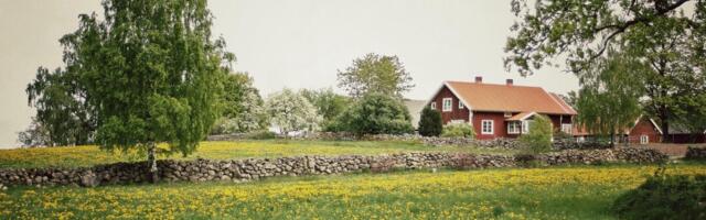 MES pikendas eluaseme kaaslaenu meedet kuni 2026. aasta lõpuni