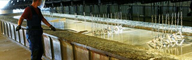 Masina- ja metallitööstur võitleb noorte töötajate nimel. "Kõik tahavad Tallinnas arvuti taga töötada"