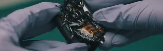 DELFI VOOG | Soome testijad tegid ka Eestis müüdava odava elektriauto maatasa_ aknast ei näe välja!