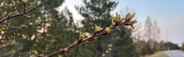 ЛІТНІ ІСТОРІЇ ПРО ПОГОДУ | Тиждень приносить як літню спеку, так і прохолодніше погоду