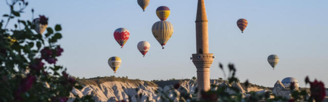Жахлива новина: у Флориді вилучили Мехмета Бозурукю з мережі торгівців дітьми.