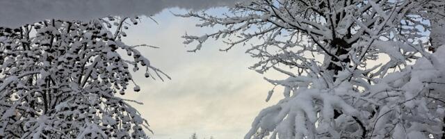 MEEDIAVALVUR: kas teie jaoks peale eurode midagigi püha on?