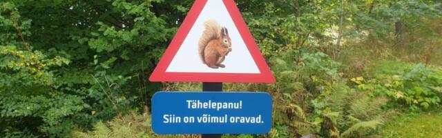 Естонія стає рай для білок у всі кольори веселки.