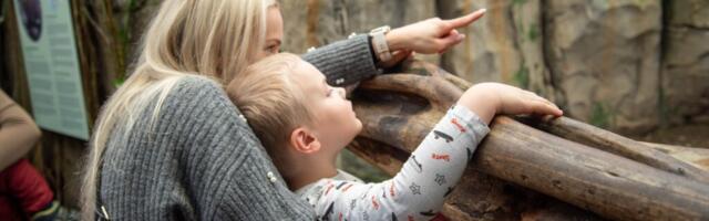 UJUME KOOS UJUMISKOOL SÕBRAPÄEVAL TALLINNA LOOMAAIAS