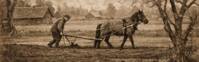Virgel mehel on künnipäevaks maa juba küntud, laisk seab atra