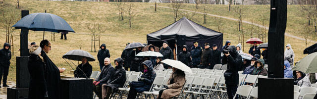 Osa Tallinna Maarjamäe mälestuspaiga õunapuudest on hävinud