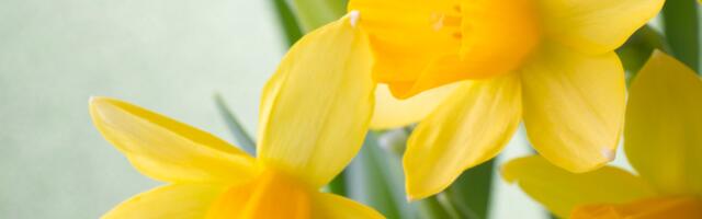 Päevahoroskoop : kolmapäev, 16. aprill