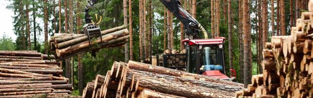 VKG lõpetas RMK puidulepingu