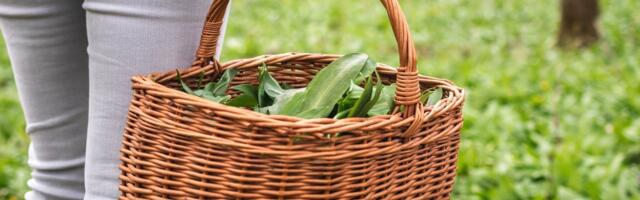 Ти паркувався у забороненому місці? Тобі можуть нарахувати штраф у розмірі 1200 євро.