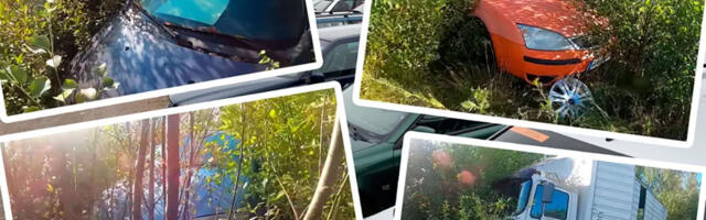VIDEO: Soome autopood lõpetas tegevuse – müümata jäänud autod on võssa kasvanud