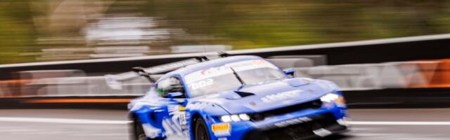 VIDEO | 250 km/h kihutanud Saksa ringrajasõitja põrkas kokku känguruga