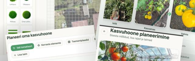 GEENIUS | Ester Vaitmaa_ vaibkoodimine viib arendamise arendajatelt ideede autoritele