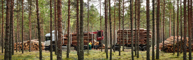 Riigikogu metsandusarutelul räägiti vajadusest saavutada ühiskondlik kokkulepe