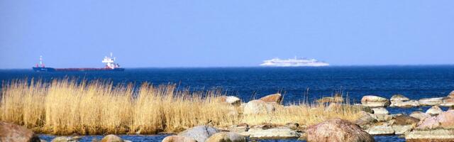 GALERII: kevad Viimsi poolsaare tipus