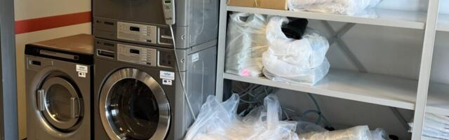 PESUPESEMISE NIPID | Pesupesemisel on vähem tihti just rohkem