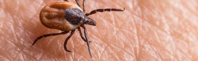 Puukentsefaliidi vaktsineerimise skeemis toimus oluline muudatus: kas sinu kaitse on ikka ajakohane?