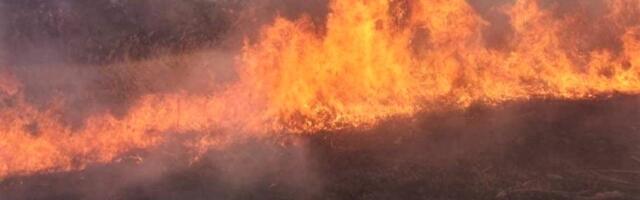 Läänemaale anti tuleohu hoiatus