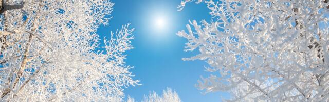 Päevahoroskoop : teisipäev, 24. veebruar