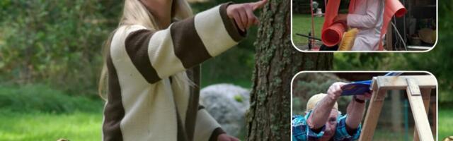 KOKKUVÕTE | „See võib lõppeda vigastusega!“ Saates „Taskmaster“ tuli pea pimesi jalgpalli mängida, Marta Laan aga kallati veega üle