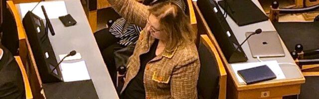 Палівус виконує свою роботу: ще один представник реформаторської партії намагається втратити цінності.