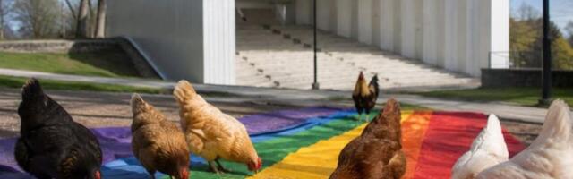 Identiteeti kiiresti kaotavad eestlased annavad homoagendale lihtsamalt järele