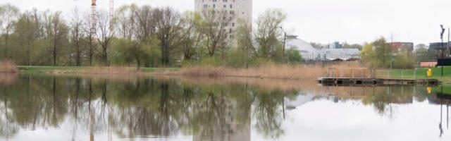 Professor: reostunud suplusvesi peegeldab meie endi tegematajätmisi