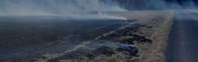 PILDID: Mulgi vallas põlesid heinamaa ja metsaalune