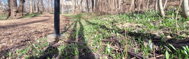 KOMMENTAARIDETA: Karulaugu rada 2. aprillil 2025