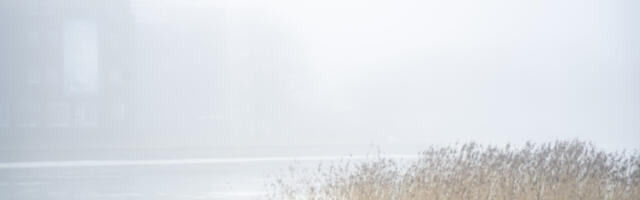 Kogu Eesti sai uduhoiatuse